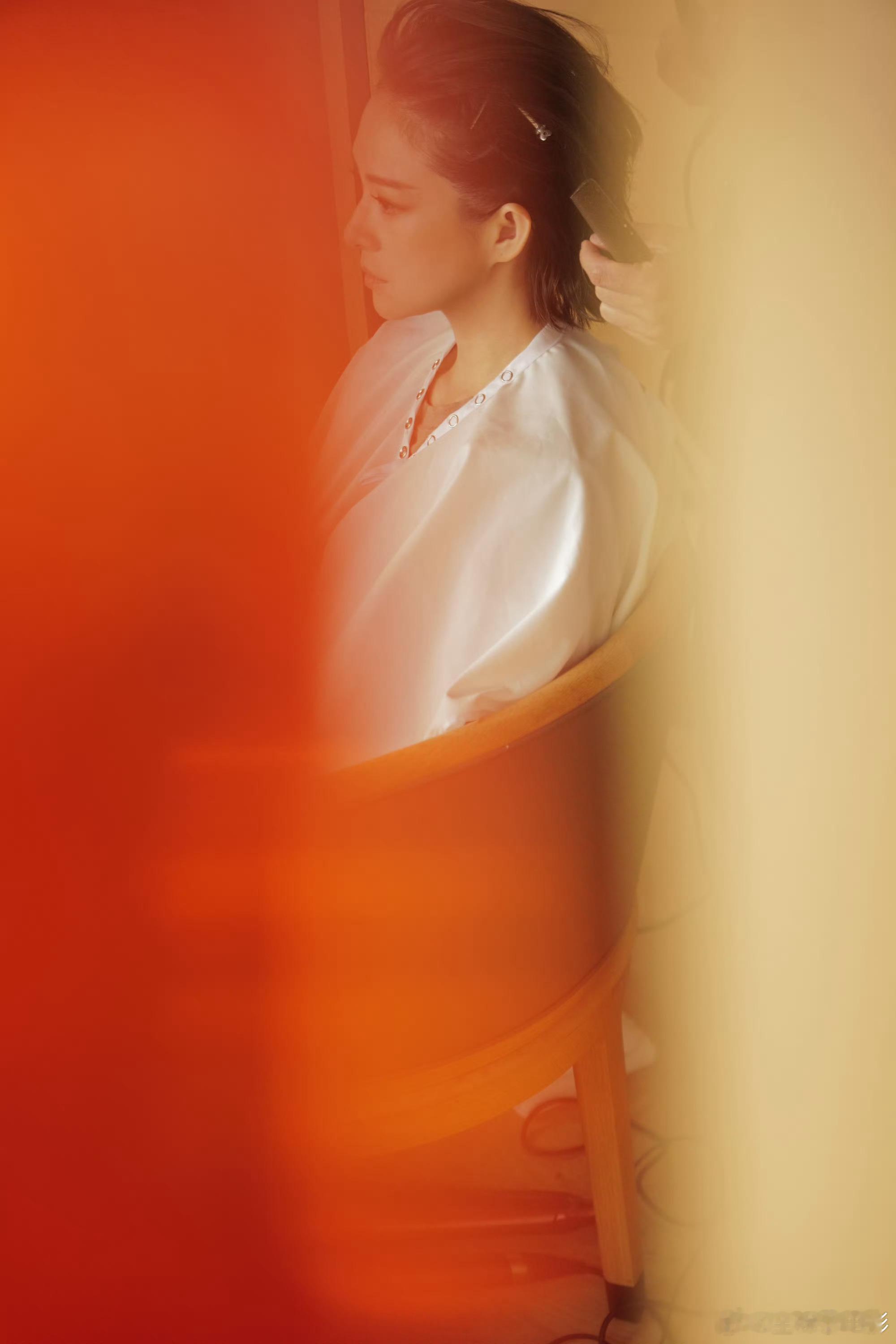 金鹤龙化的孔雪儿章子怡金鹤龙化的章子怡孔雪儿金鹤龙老师审美在线，孔雪儿和章子怡各