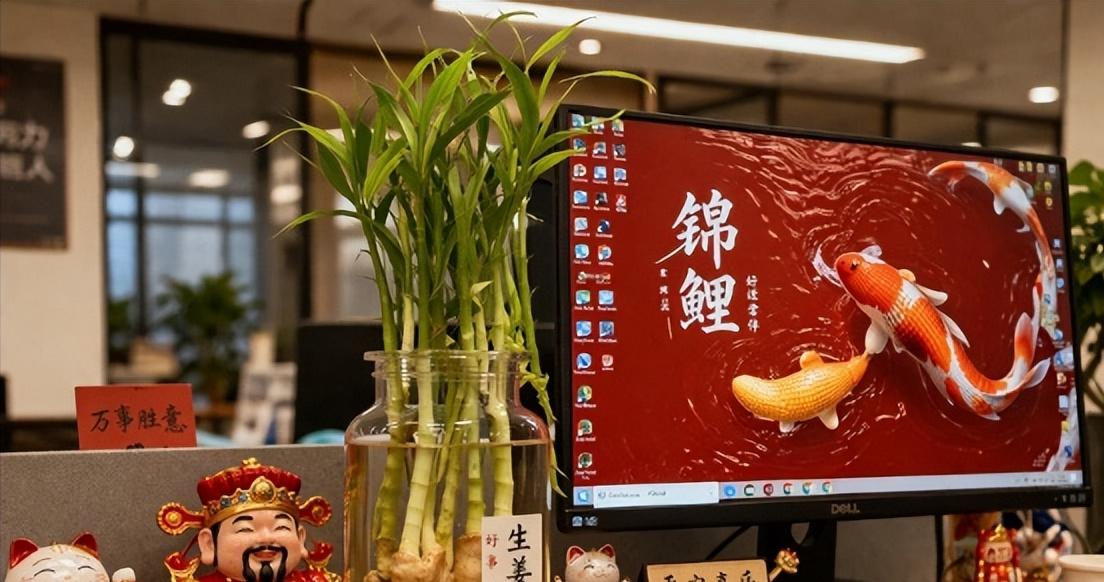 很多网友在工位上通过水培生姜（戏称“福禄根”）、饲养泥鳅（别名“土龙”），来追求