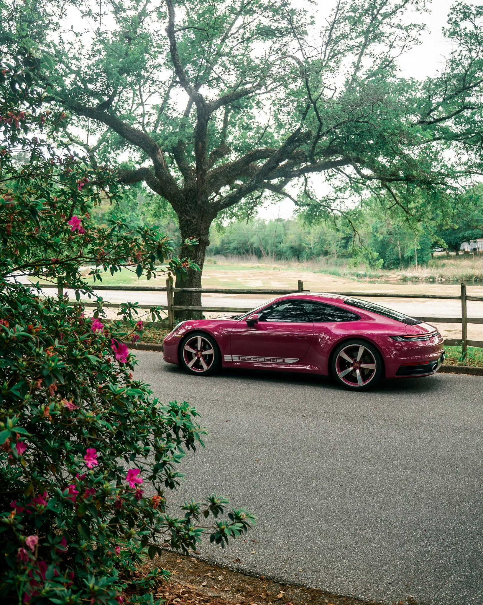Porsche 911 Carrera｜保时捷 