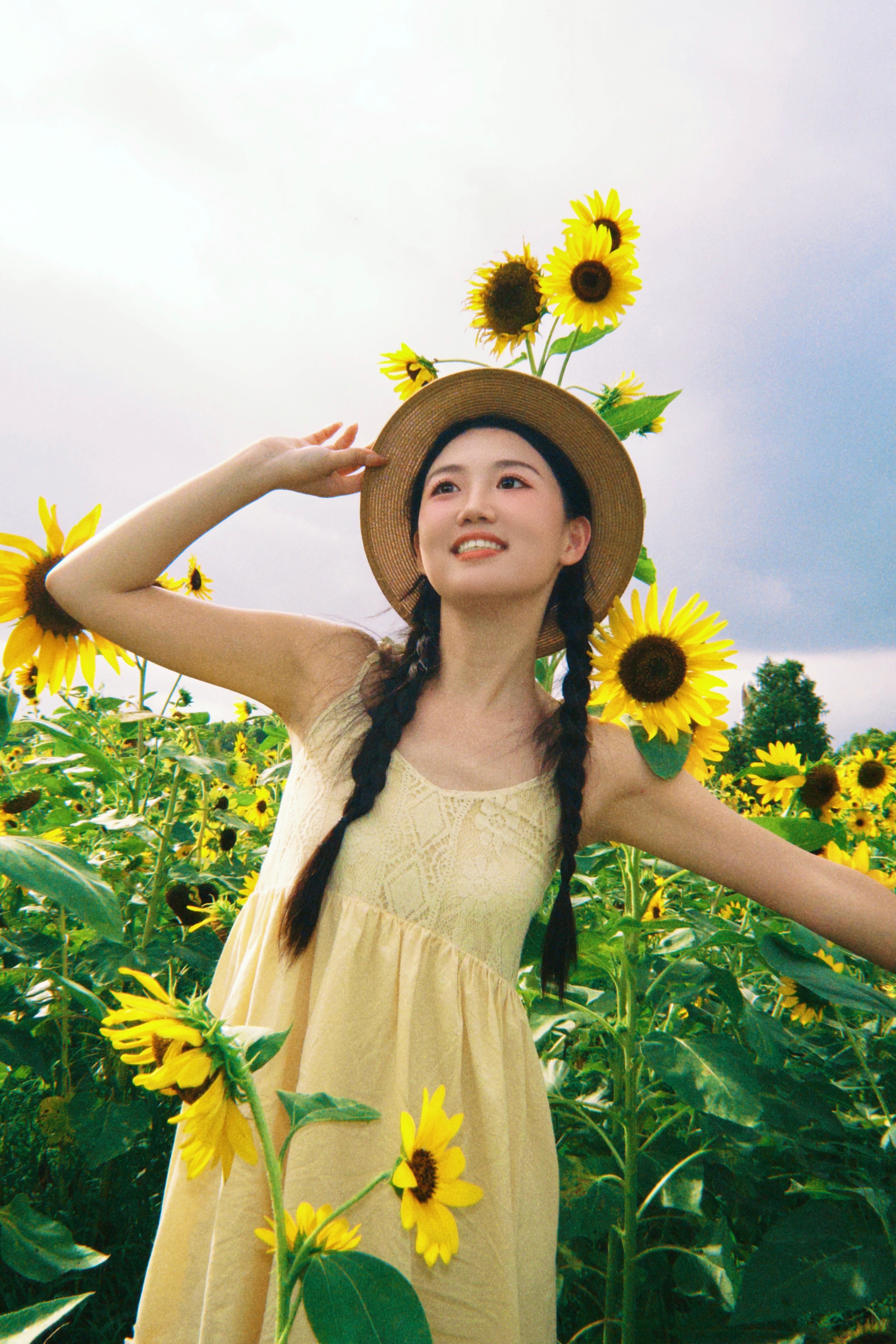 种下一颗太阳🌻来向日葵花海拍照啦~📍广富林遗址公园 ​​​