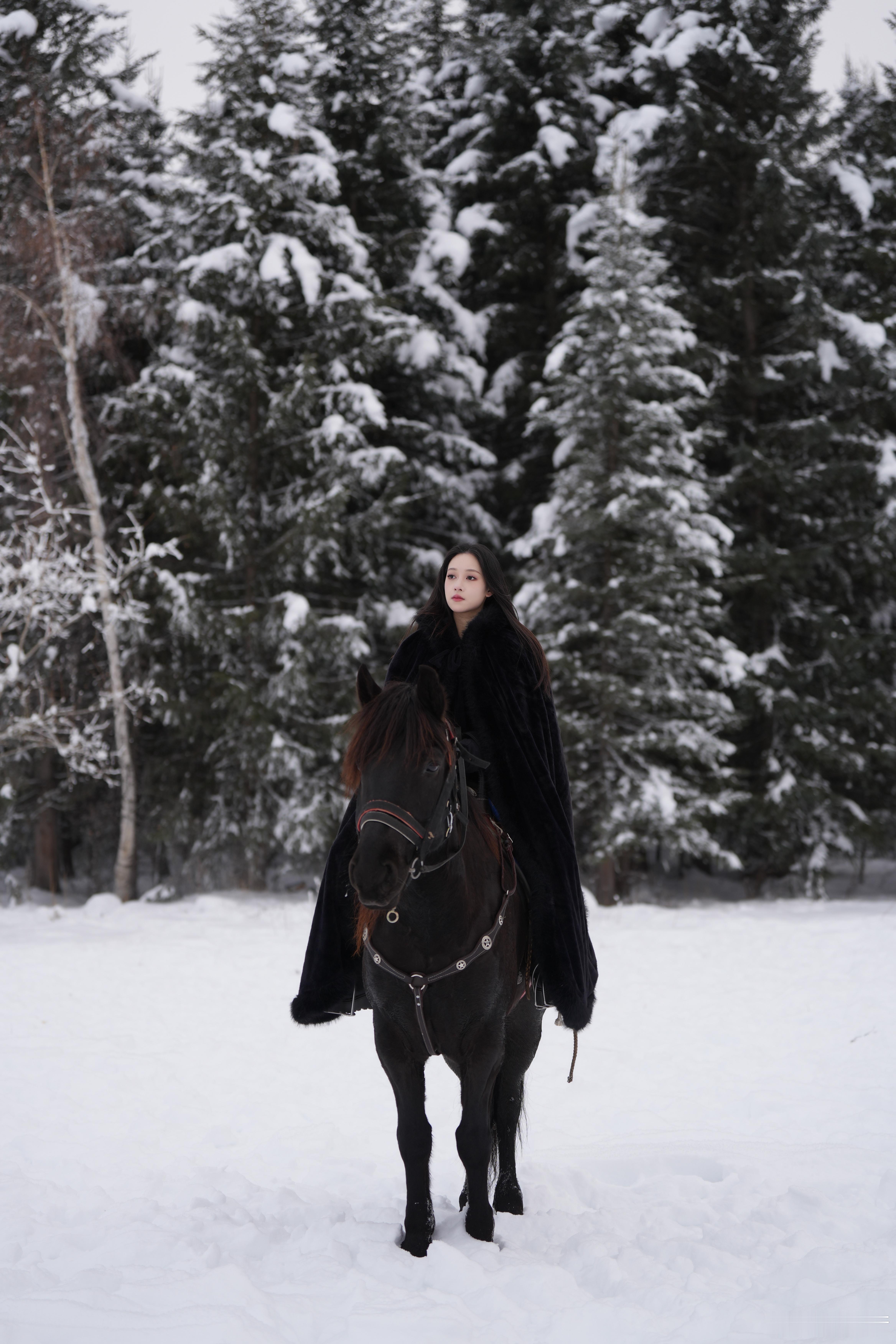 阿勒泰·禾木🐎 