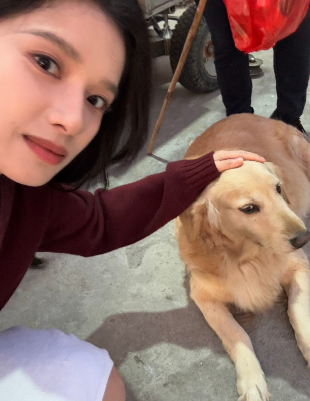 张婧仪那是你包的饺子吗，包的是什么馅的呀？