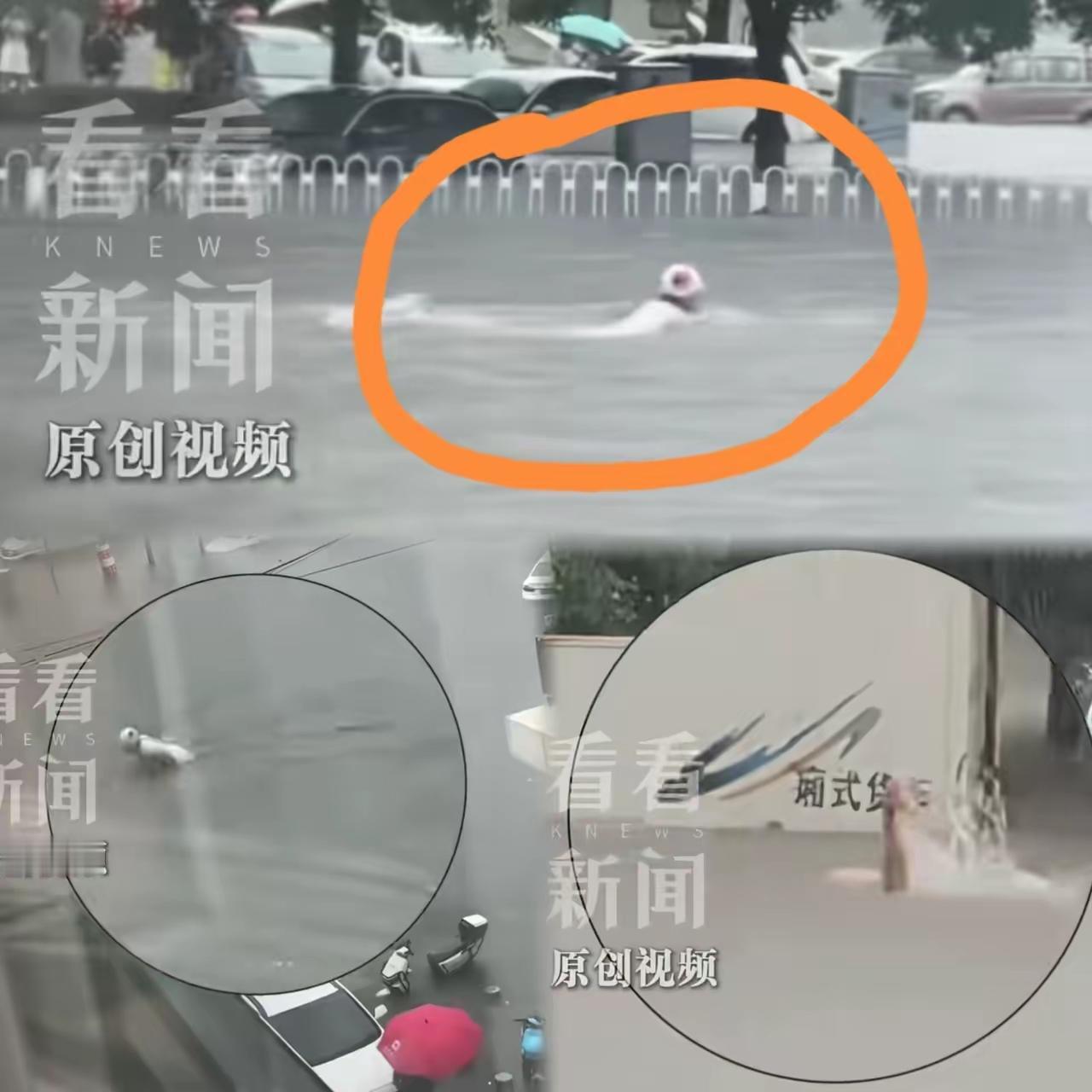 谁也没想到，沈阳这场暴雨直接火遍全网。不光东北本地人，全国各地网友这下都刷到沈阳