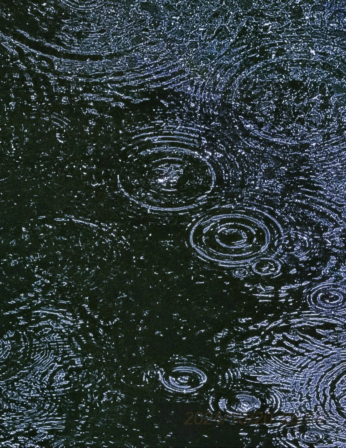 听雨的节奏 ▸ ı||ııı||ı|下次你撑伞低头看水洼，就会想起我说...