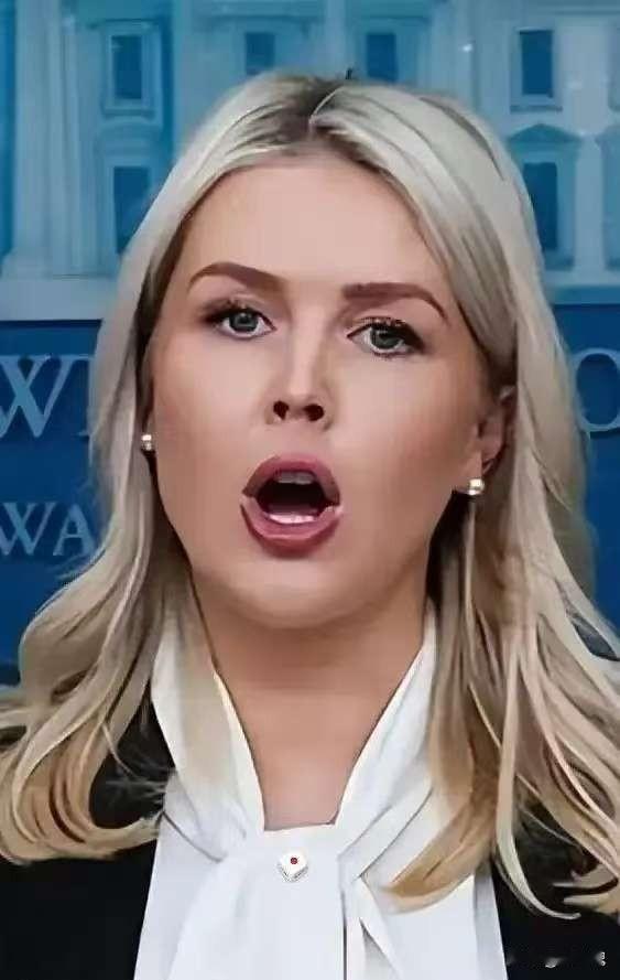 白宫传来新消息，
4月21日，白宫新闻秘书莱维特突然对媒体放话，说美国和伊朗正处