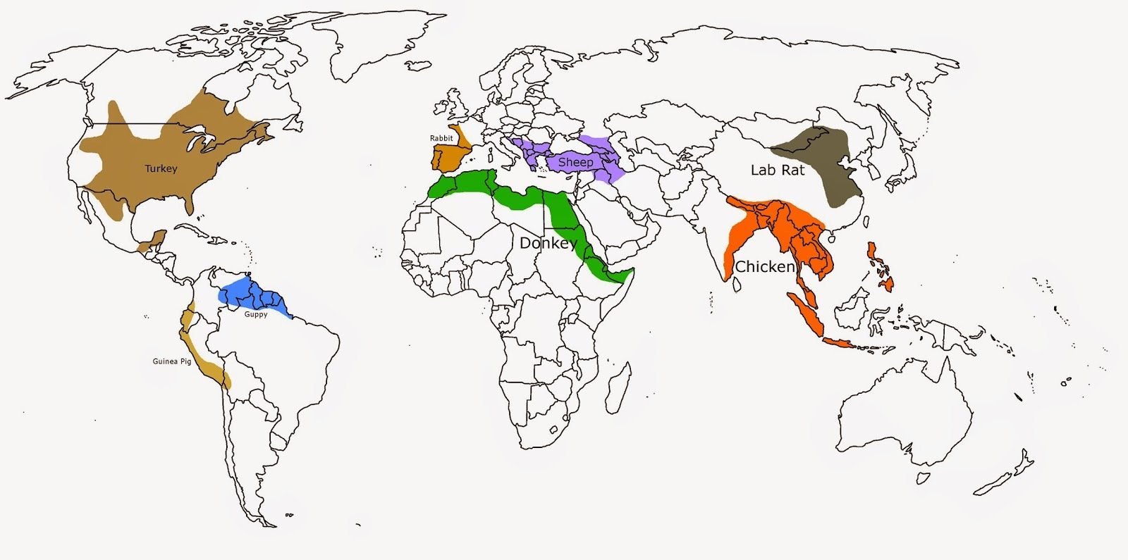 今日新知：实验鼠的起源是在东亚！以下是几种家养牲畜的最早起源地褐色，火鸡，中美洲