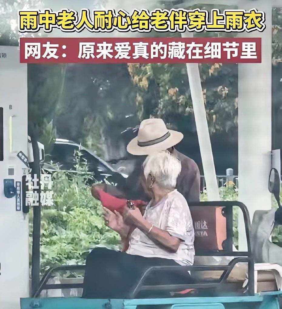 破防了！山东德州,大爷开三轮车载老伴回家，突然下起了雨，原以为大爷是停车找地方避