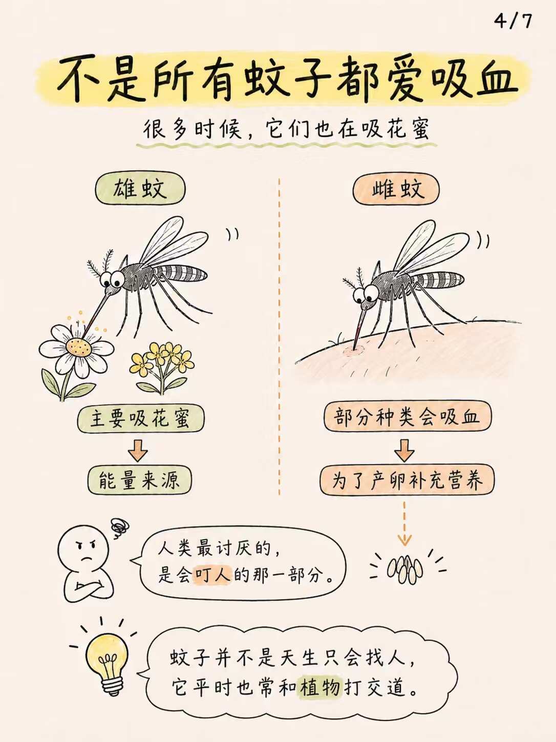 为什么蚊子没有被自然淘汰 