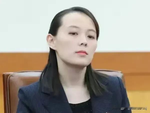 不满了！朝鲜终于表态了！

据联合早报5月27日晚的报道，朝鲜对于中日韩会议上关