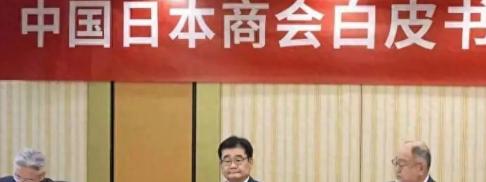 谁说航母导弹能拿捏日本？根本大错特错！日本压根不怕咱们各类先进军备，真正戳中它命