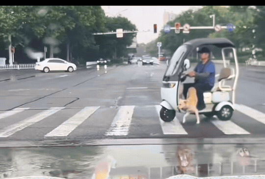 这才是真正的助力车！