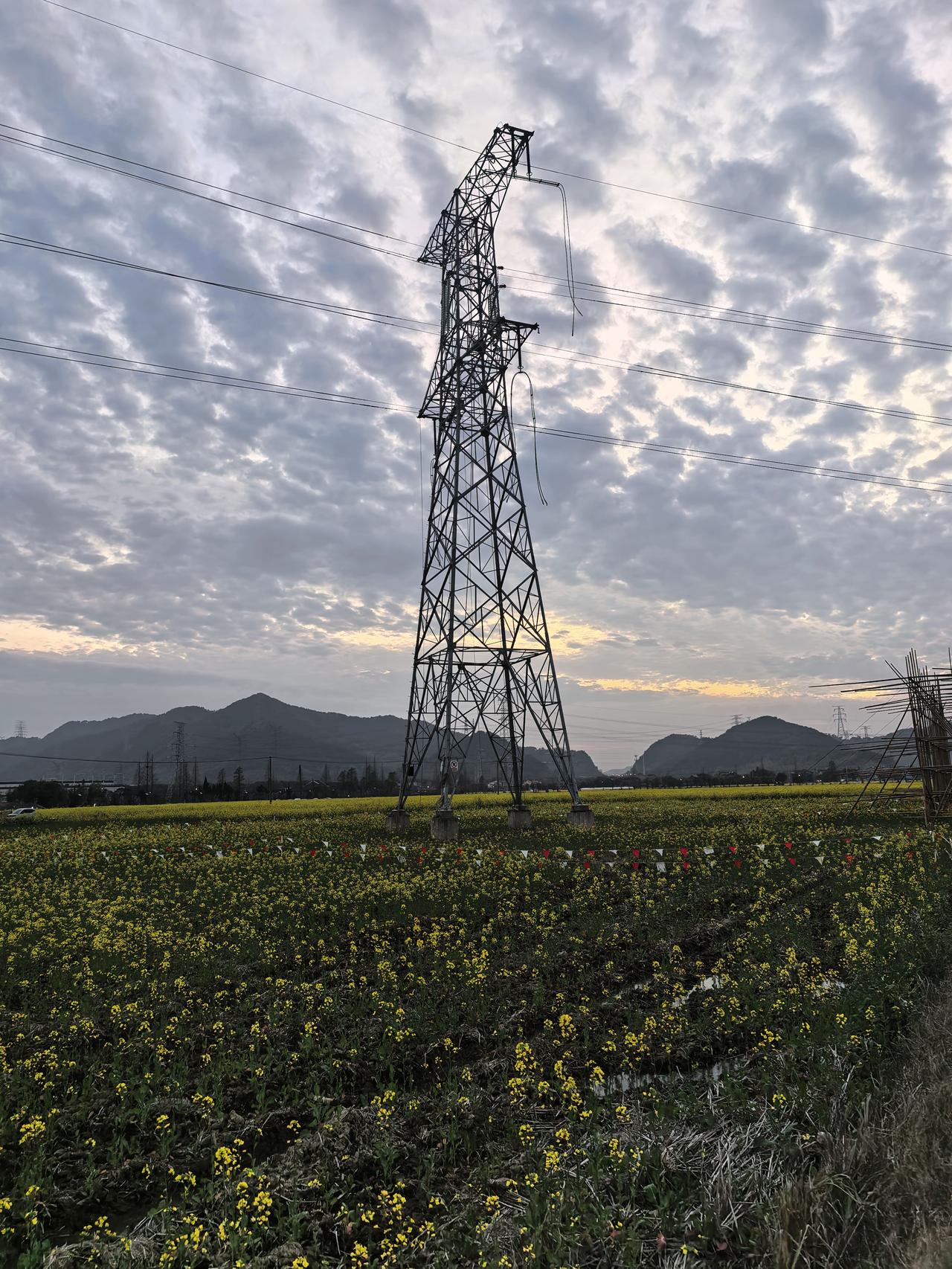 油菜花期已过，发一组几周前某个傍晚的作品纪念一下！
