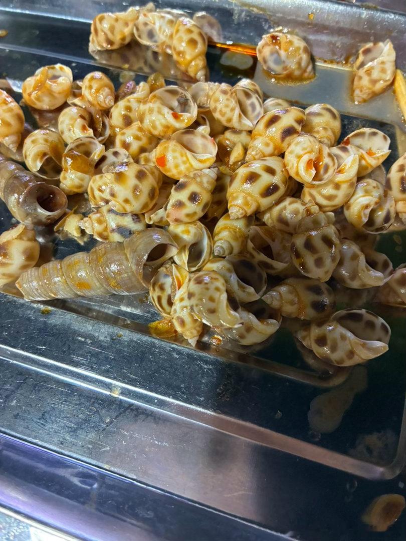 这小海螺把我吃的急死了十五分钟才吃这点下次吃大海螺🐚 