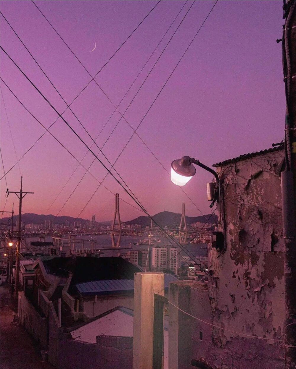 我紧紧抓住生命不放，无论如何想活下去。｜陀思妥耶夫斯基《白痴》 ​​​