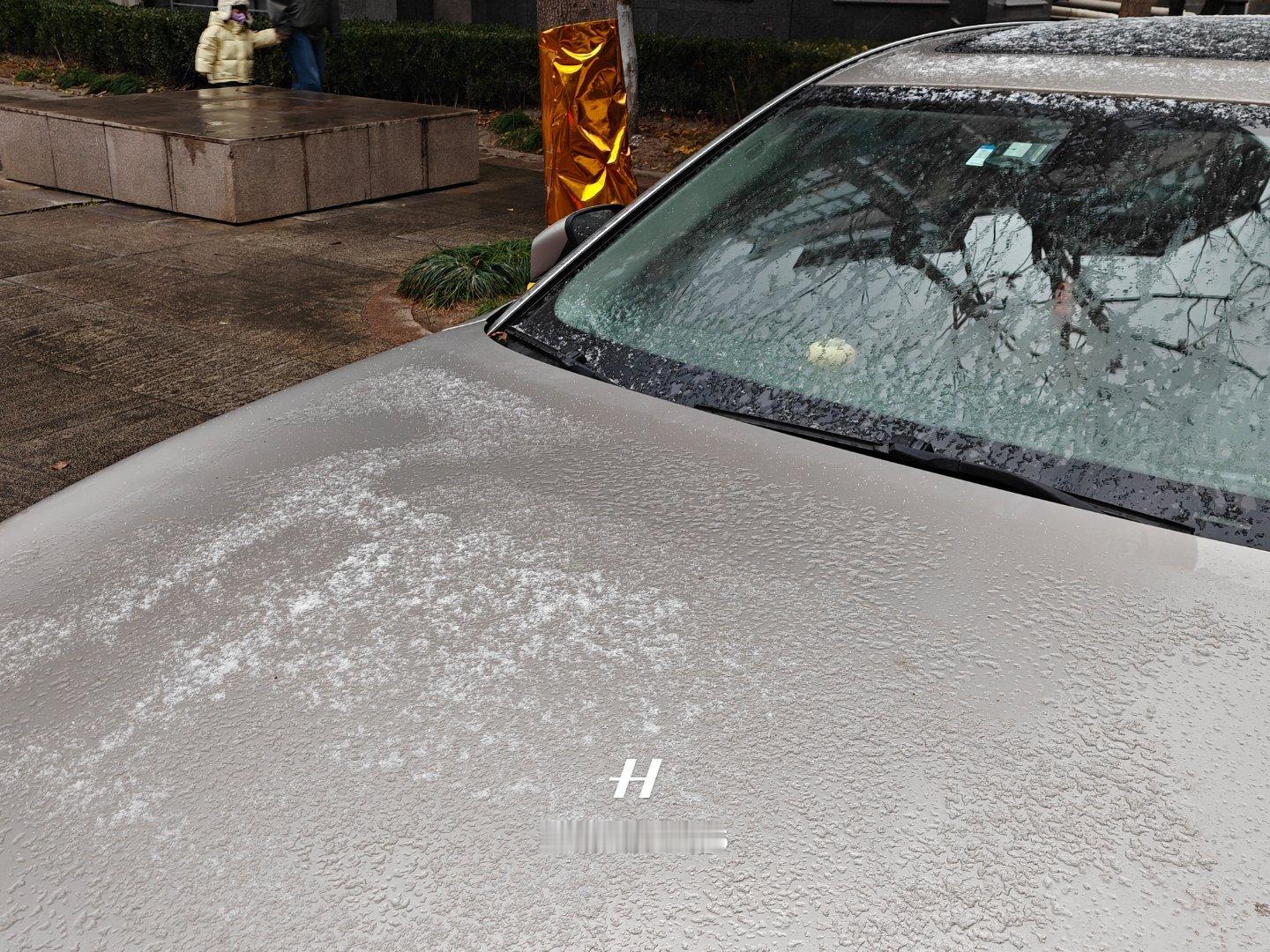 上海下雪真下雪了啦……就是雪花太小，约等于没有 （来了～） 