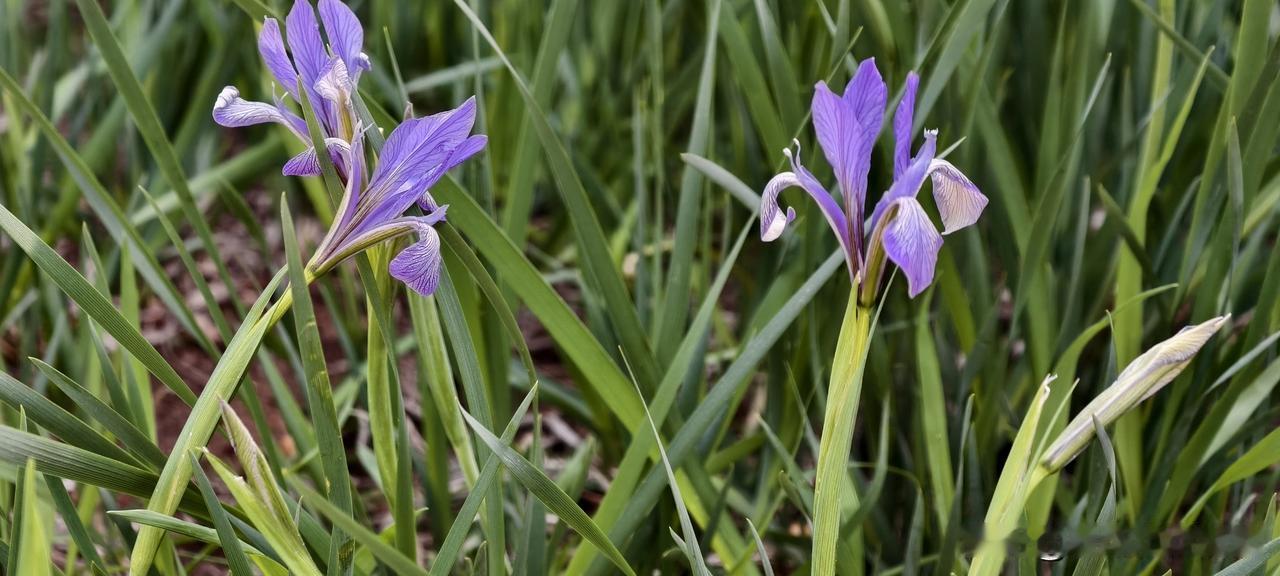 就因为多问了一句“你最近是不是太累了”，我们部门少吵了十次架


我们部门有个同