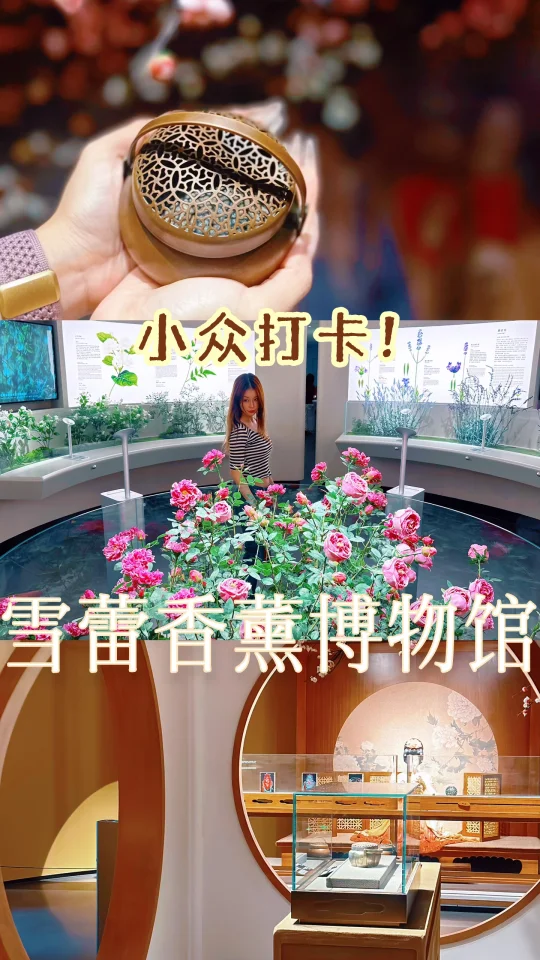 广州 | 这个博物馆也太好打卡了吧😍😍