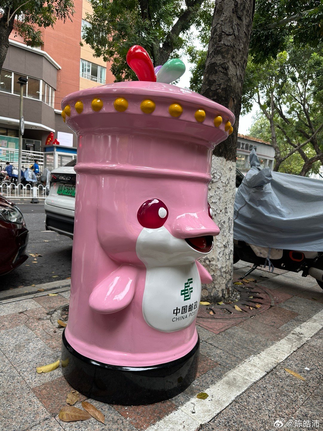 把明信片塞进大湾鸡嘴里，你想试试吗？