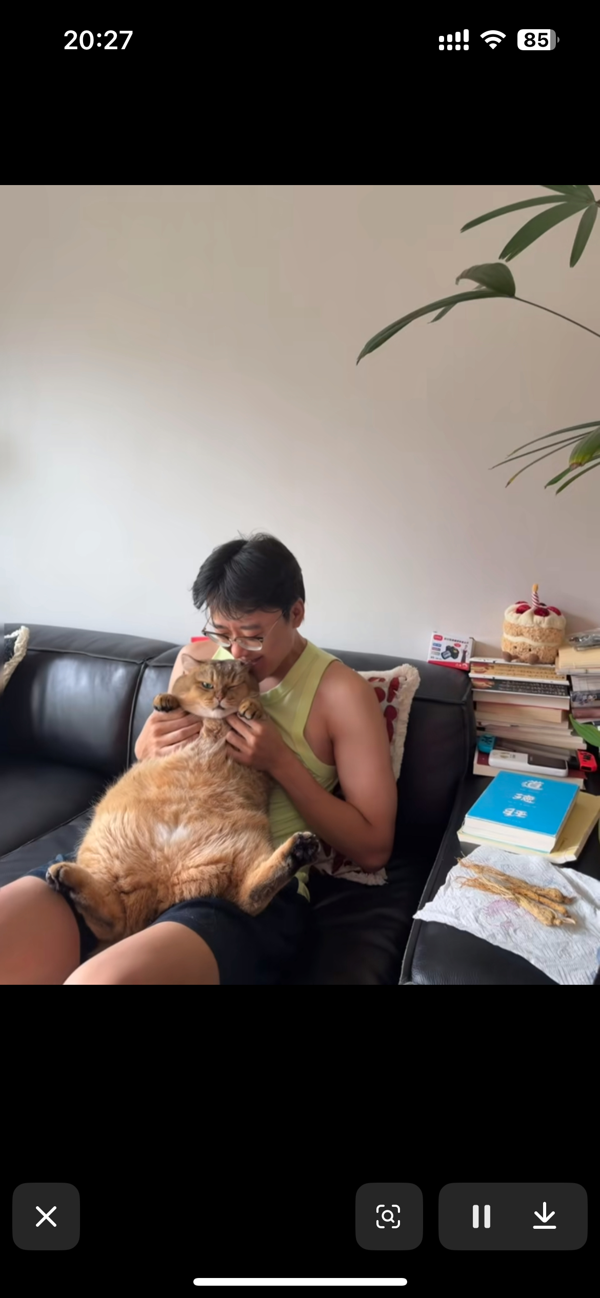 在抖刷到佳念的大肥猫 震撼之… 