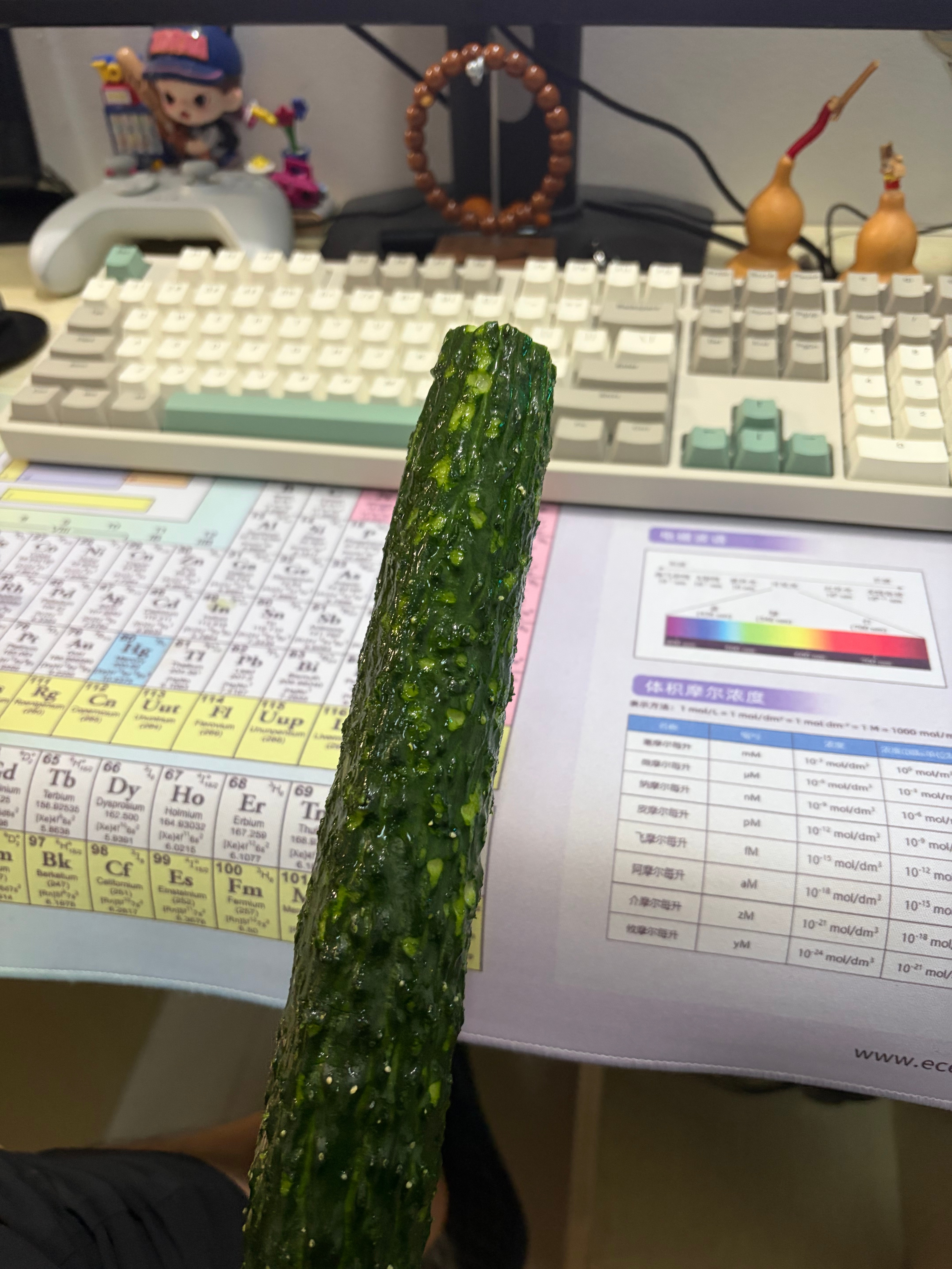 生活手记 晚饭一根黄瓜 