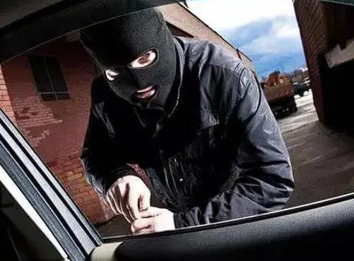 1990年，一个省委副书记的家遭到偷窃。小偷翻遍家里所有角落，最终带着战利品扬长