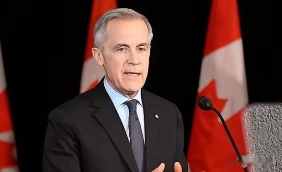 卡尼回应特朗普

加拿大总理卡尼太刚了！面对美国的威胁，直接硬气回怼，看着真爽！