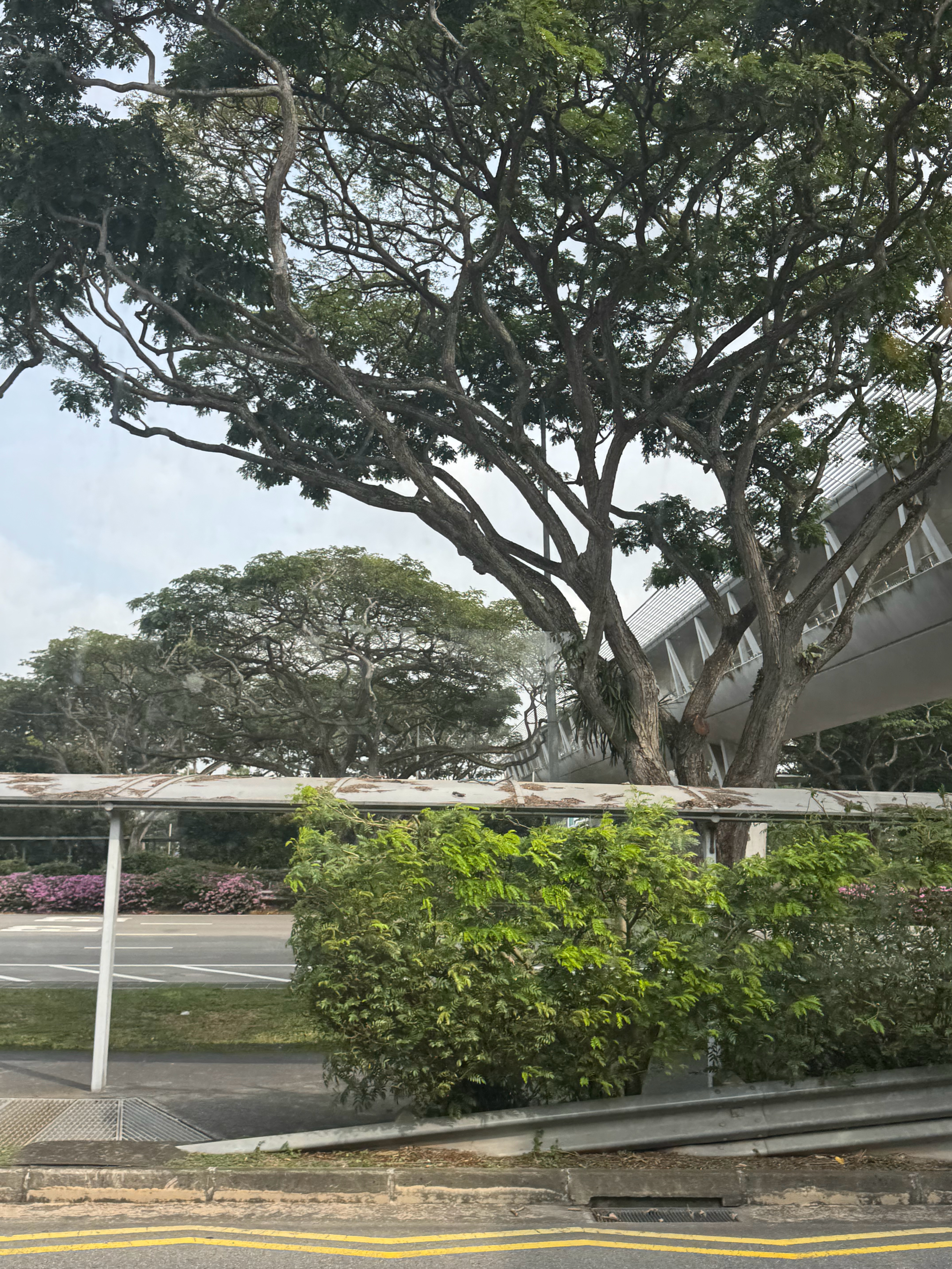 好了解决了卡 买了一夜青旅 找到去充地铁卡的线路 坐上免费shuttlebus 