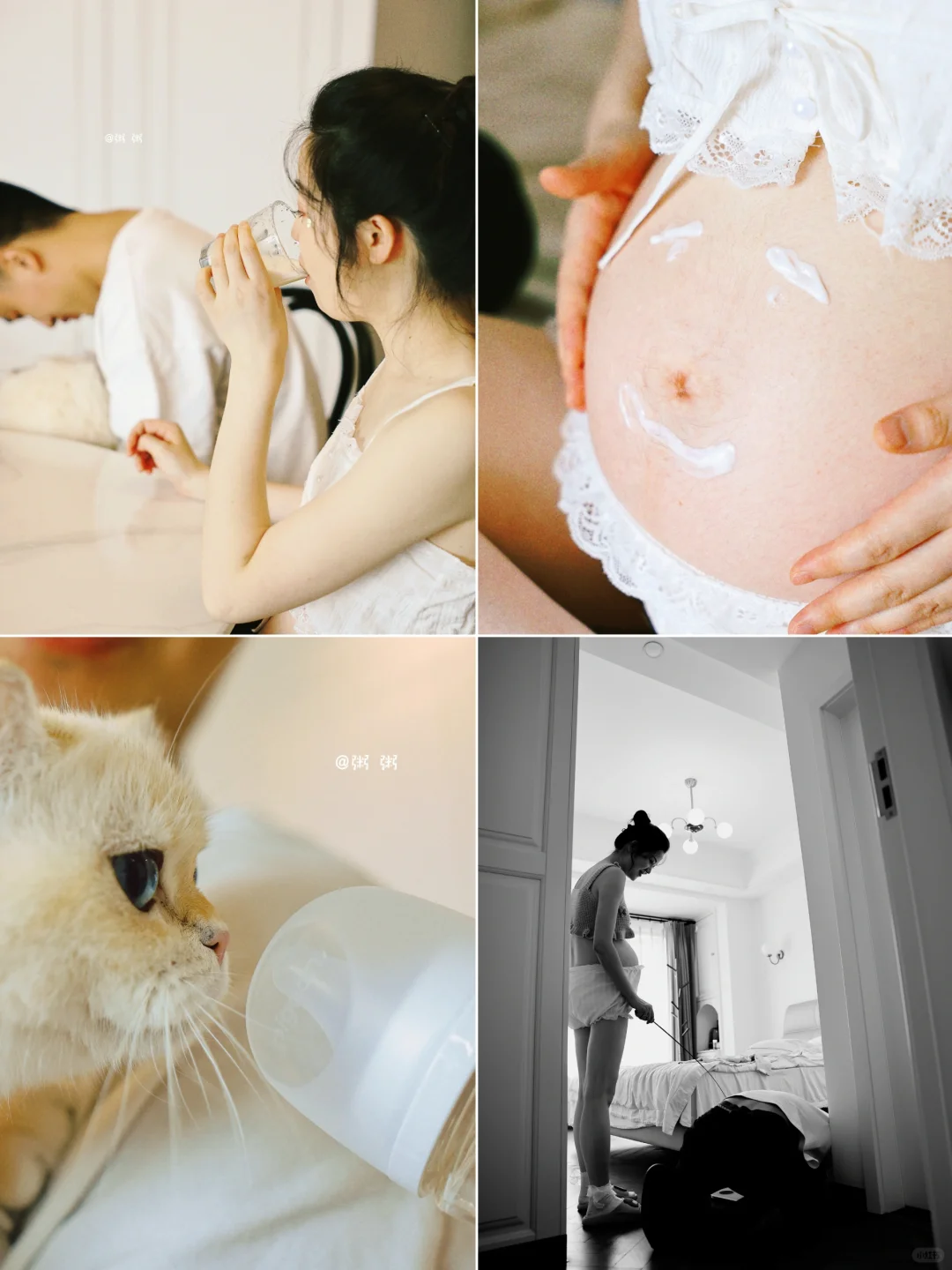 在家拍的孕照和治愈的猫