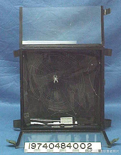 1973年，NASA将两只名为Arabella和Anita的蜘蛛送入太空，以测试