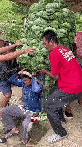 这是我见过唯一背负战斗力超过“重庆棒棒”的存在！据说是菲律宾当地类似“棒棒”的角