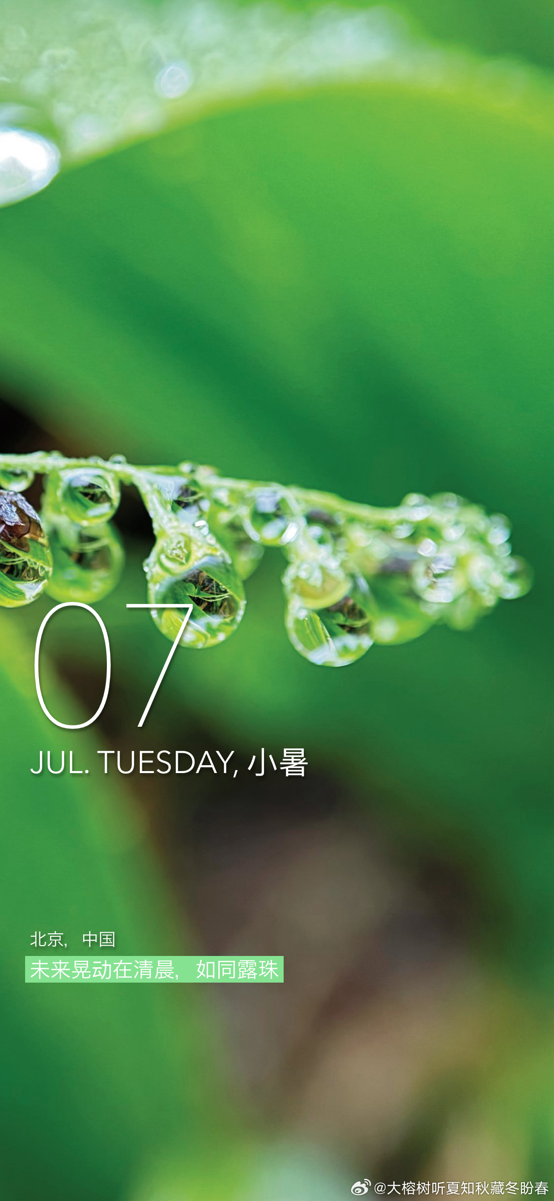 赫尔曼·黑塞：世界是肥皂泡，是一场歌剧，是愉快地瞎折腾。 