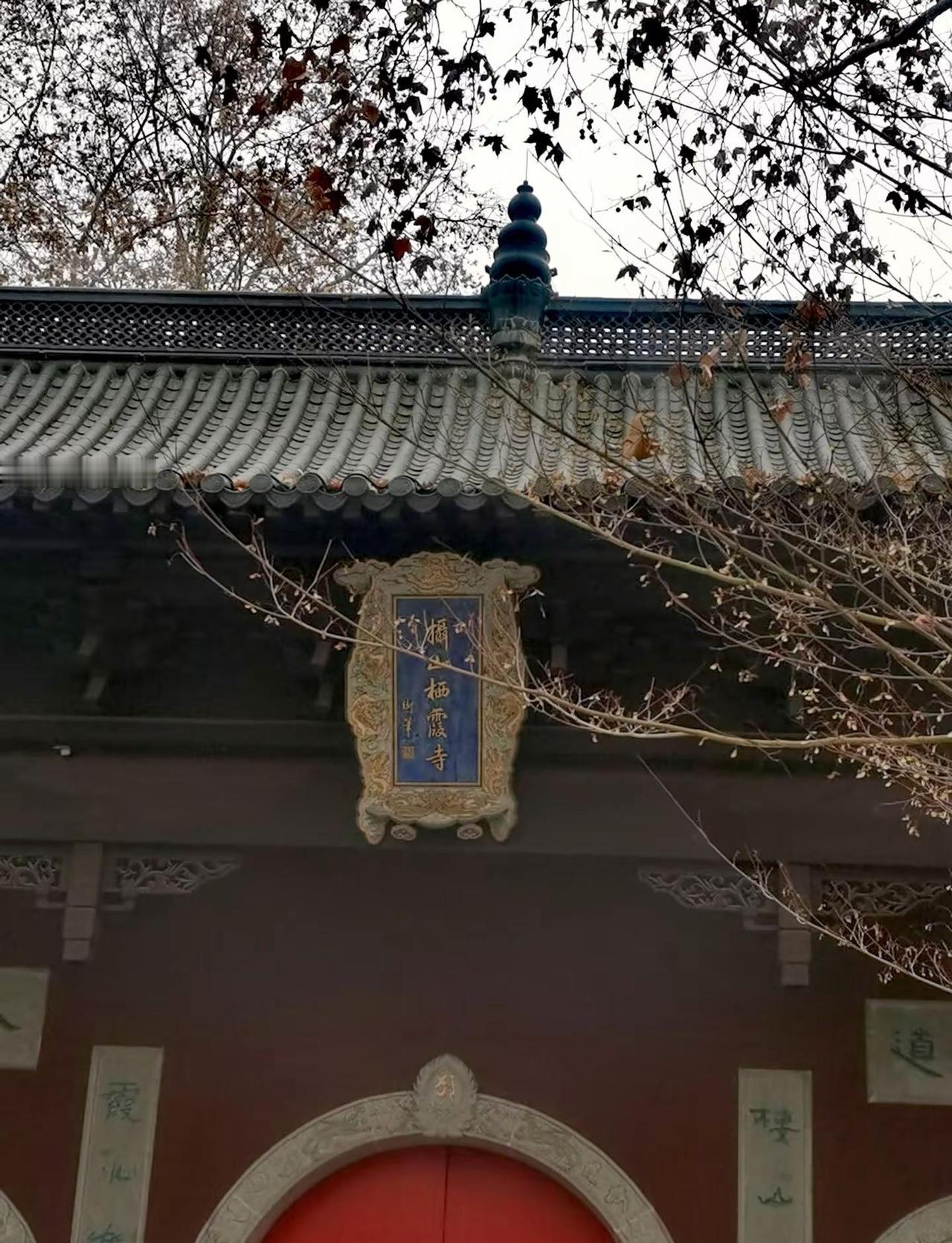 还没来栖霞山看枫叶的别来了，秃了 枫叶没了，出门右拐去看水杉吧自然山水风光 赏秋