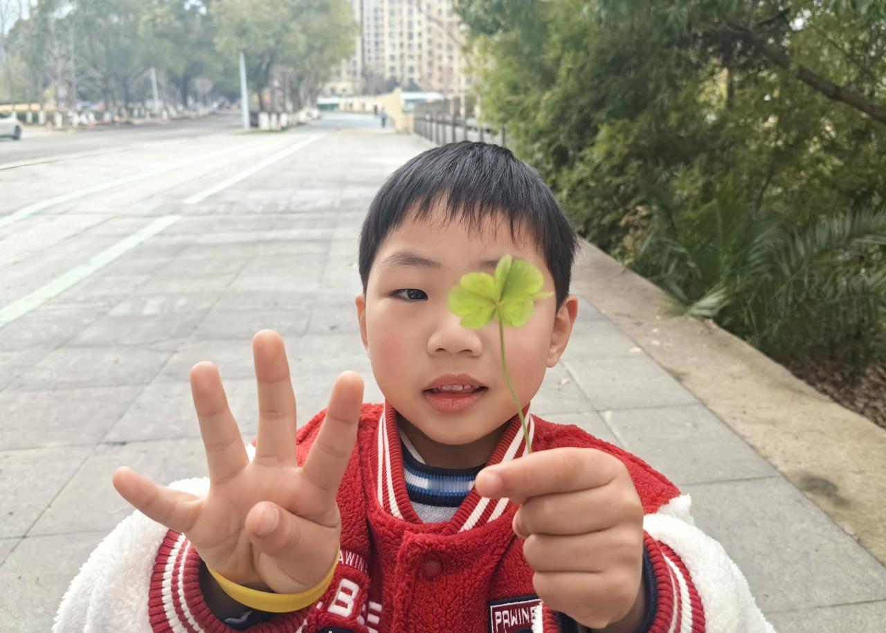 据说，从三叶草里找到四片叶子是非常幸运的。