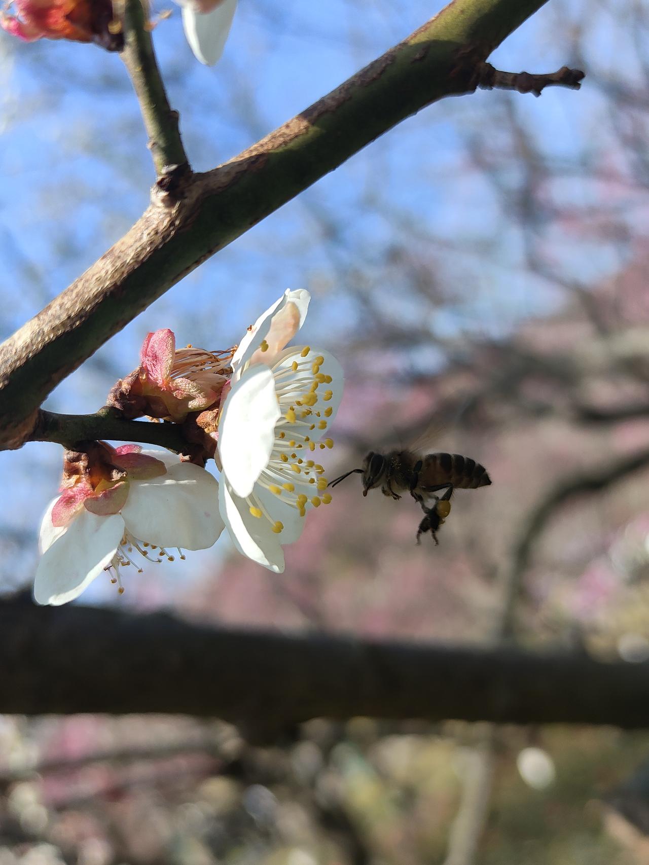 分享一下你随手拍的照片