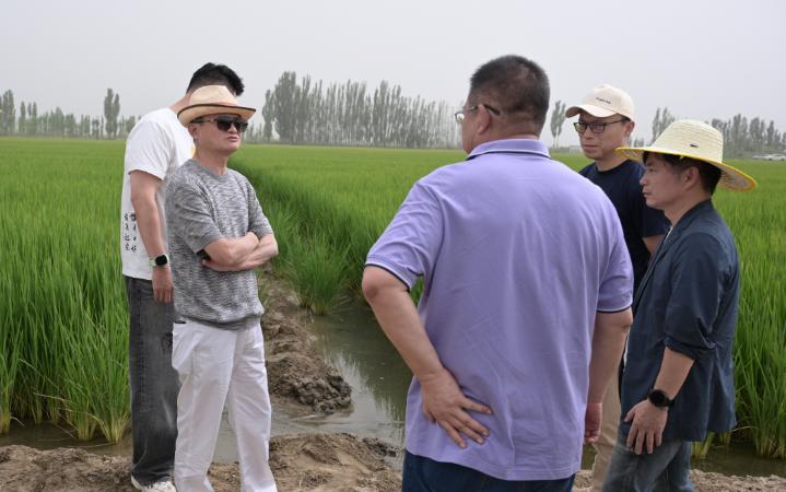 马云现身甘肃民勤，探访西北荒漠化治理！

这两天，不少网友在甘肃、新疆等地偶遇了