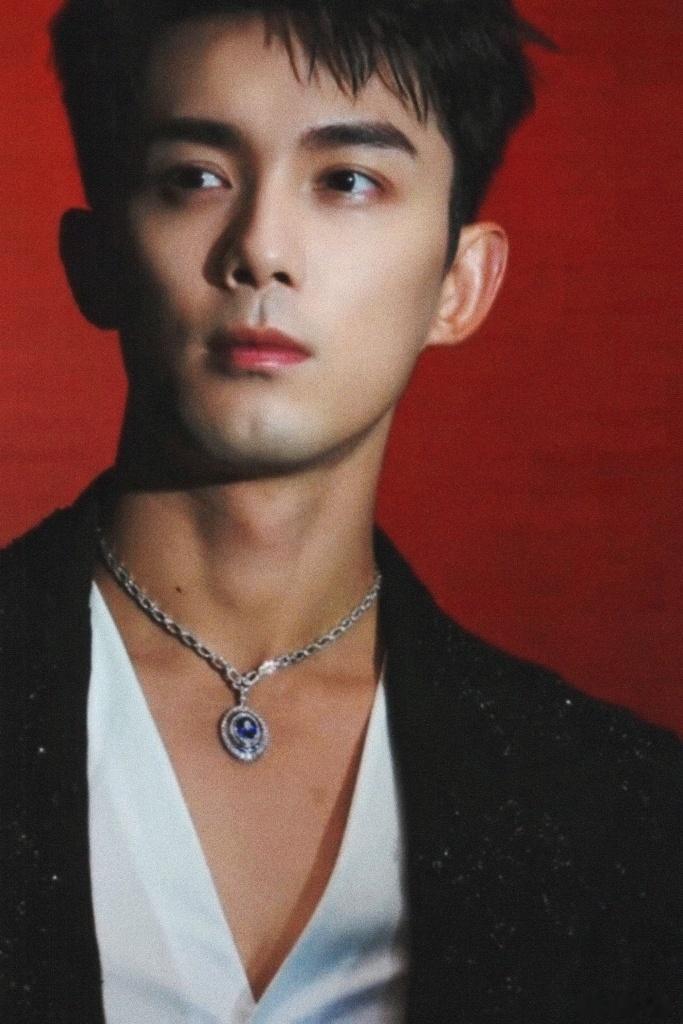 吴磊 剑来唯一领衔热血少年陈平安，吴磊来演这我真的会很期待 