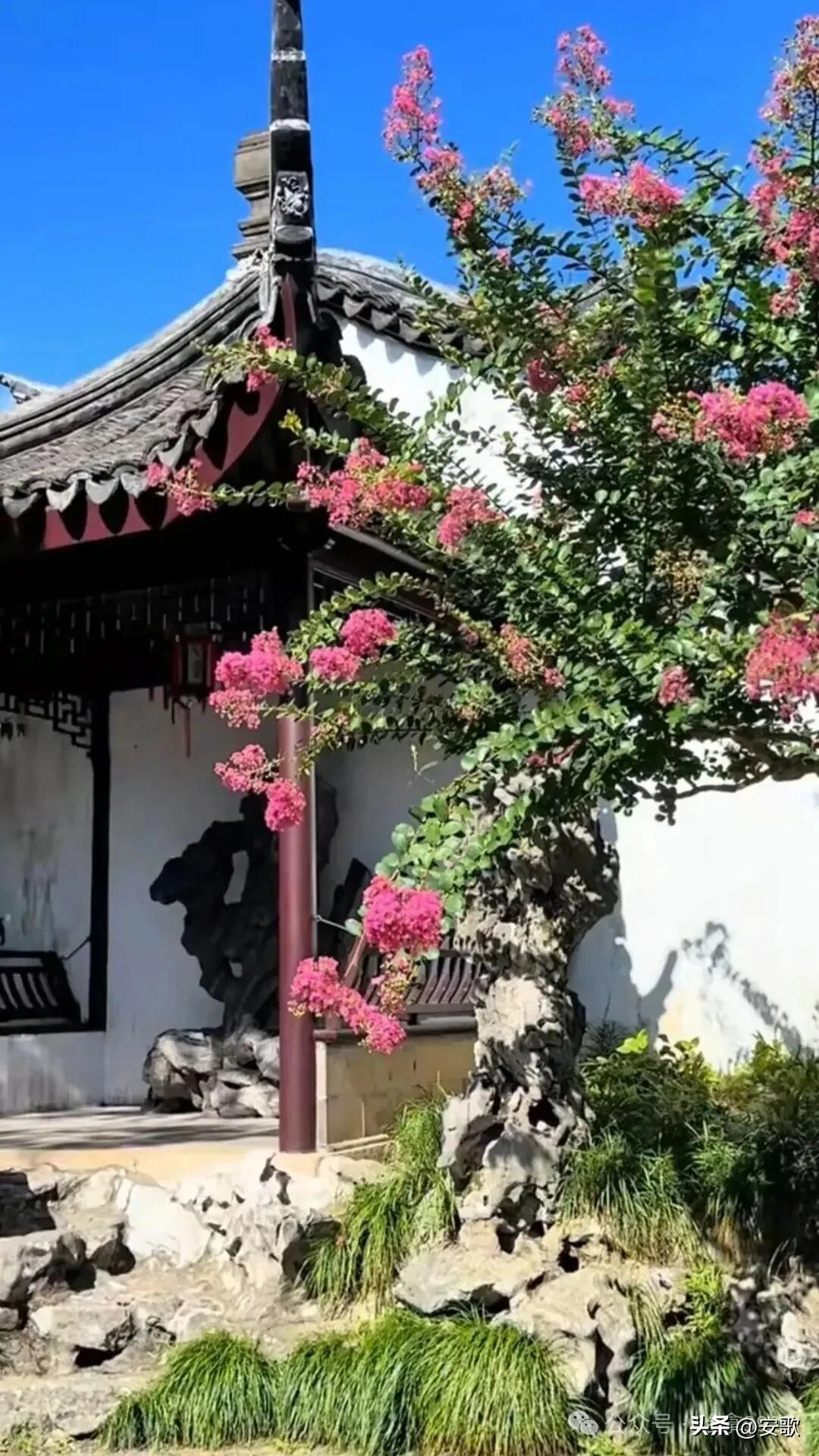 上联:花开富贵香盈室
下联:燕入华堂人丁旺
横批:富贵平安