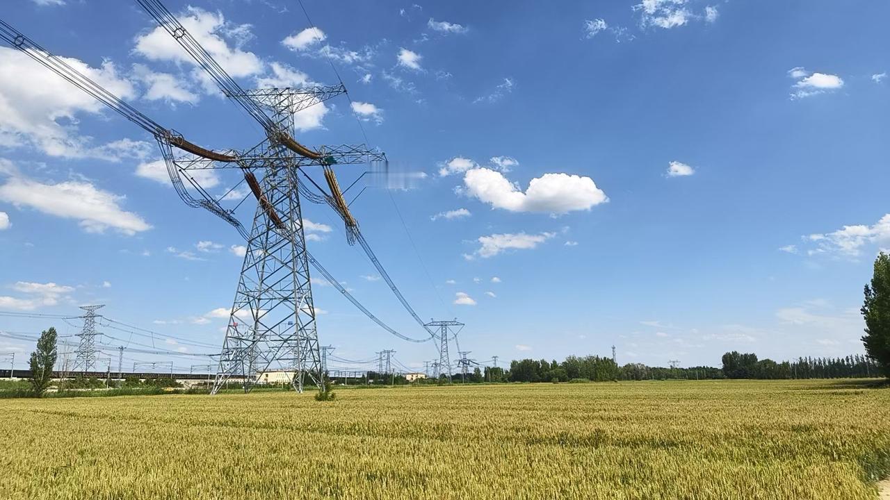 晒图笔记大赛麦子快熟了
