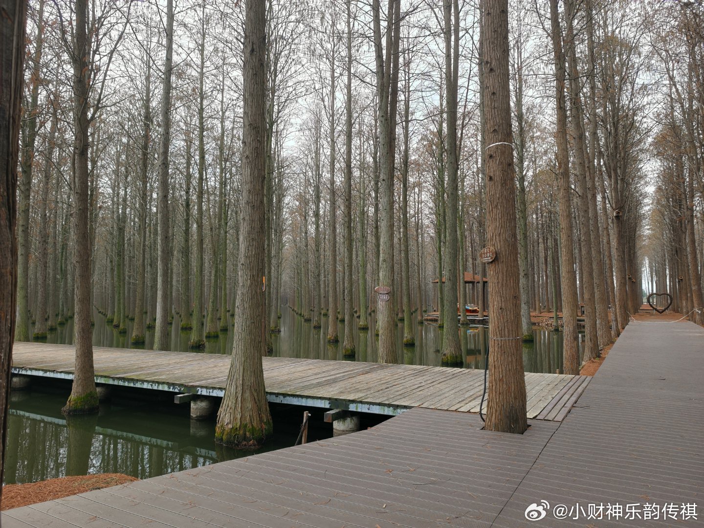 大部分概念票、牛市已结束目前、一切震荡、都是为了出货倒腾到你的手上切记、绝不可能