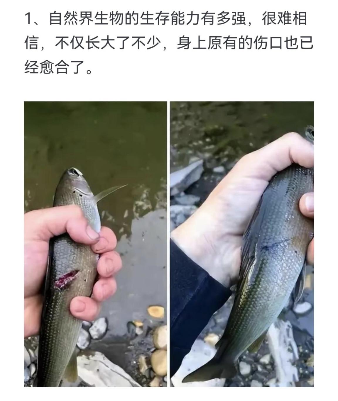 很难想象地球为什么有这么多生物