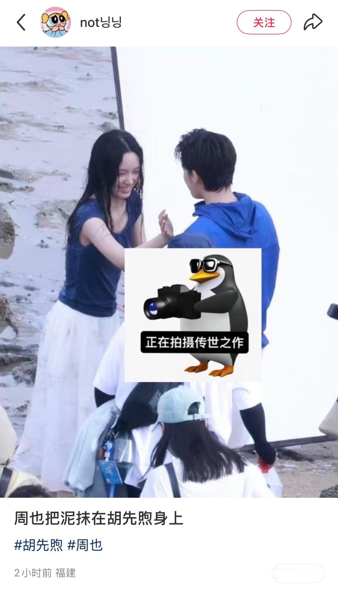 我孩子真是一只很萌很坏的小比格啊