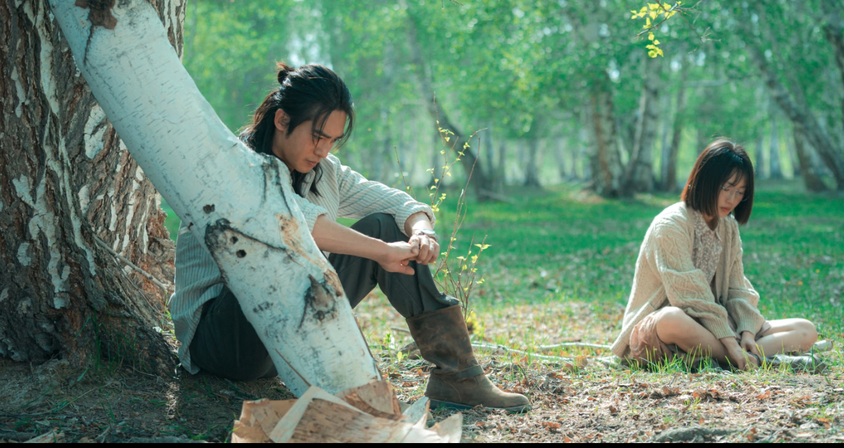 五一假期，如果不想出门，说几部最爱的电影《我的阿勒泰》、《音乐之声》、《纵横四海