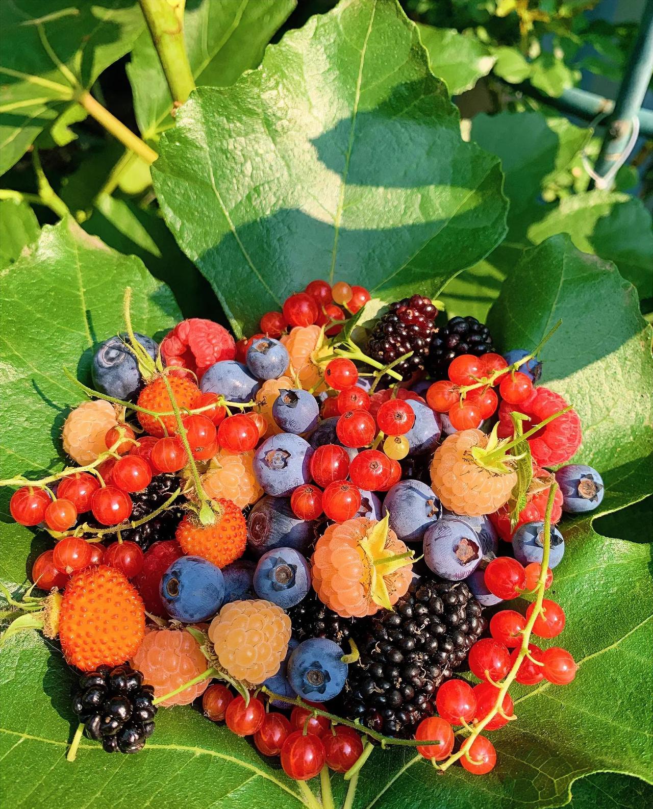 有人说 “只要努力就一定会成功”，也有人说 “方向错了，越努力越尴尬”。

其实