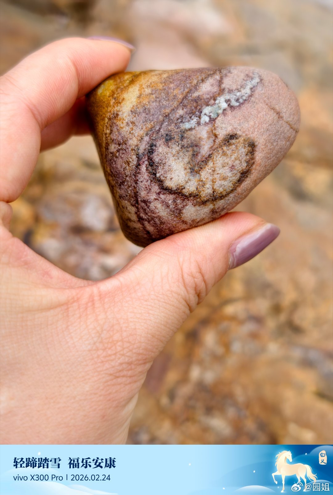 好消息过年这几天没胖也没瘦，说说你们胖了几斤