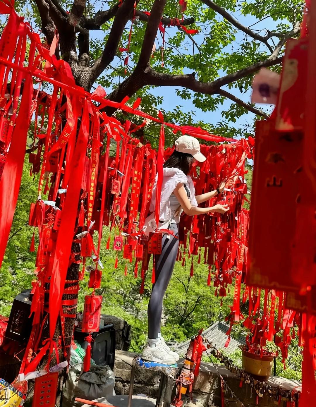 在千年古树下，许下心中的愿望，愿一切如愿以偿。
