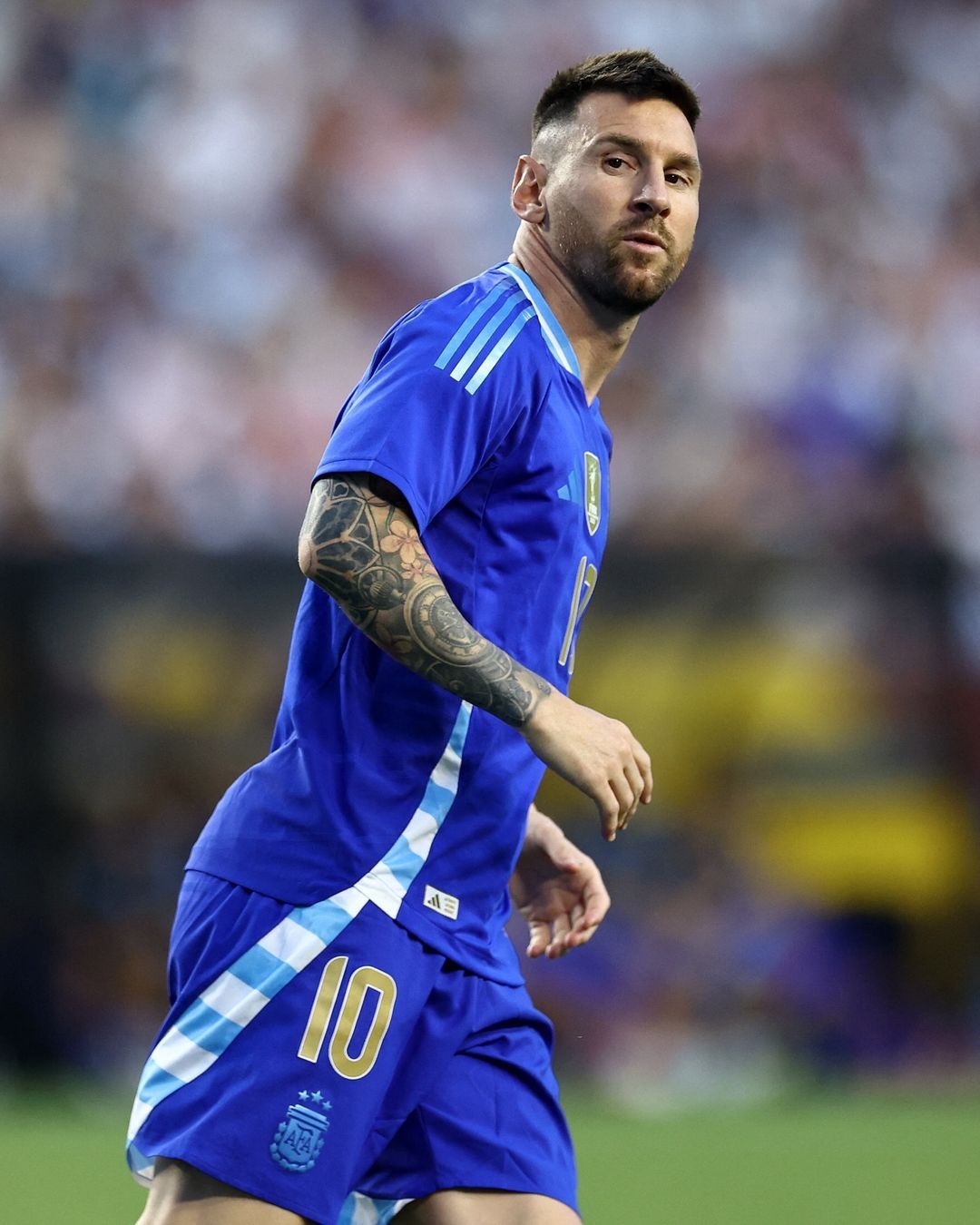 【艺术[可怜]】美洲杯官方：蓝色彩绘 ✨ ​​​