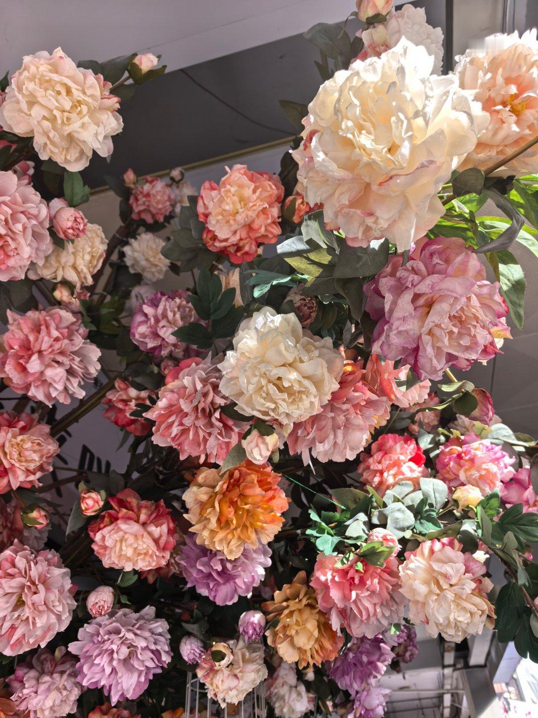 四月末的尾巴巴迎来了一些些好消息～新的一个月大家也要顺利快乐你来自那颗星[音乐]