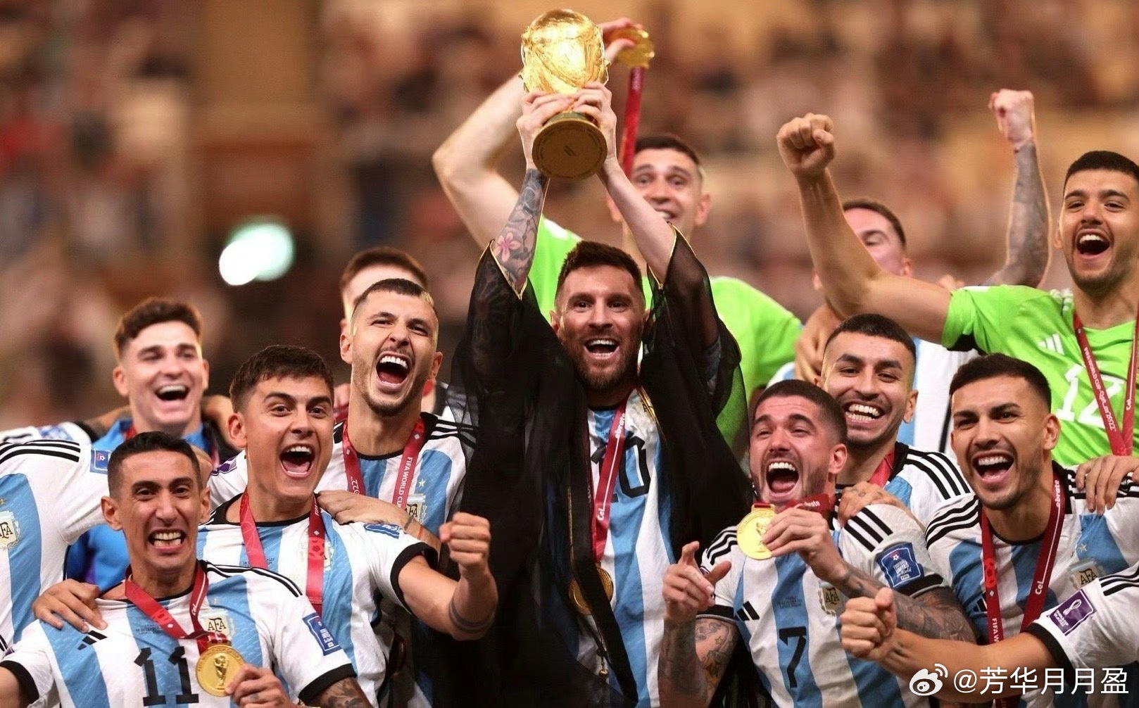 家庭必备品的更新换代，一直是时代的生动注解，记录着人们对幸福生活的不懈追求。上世