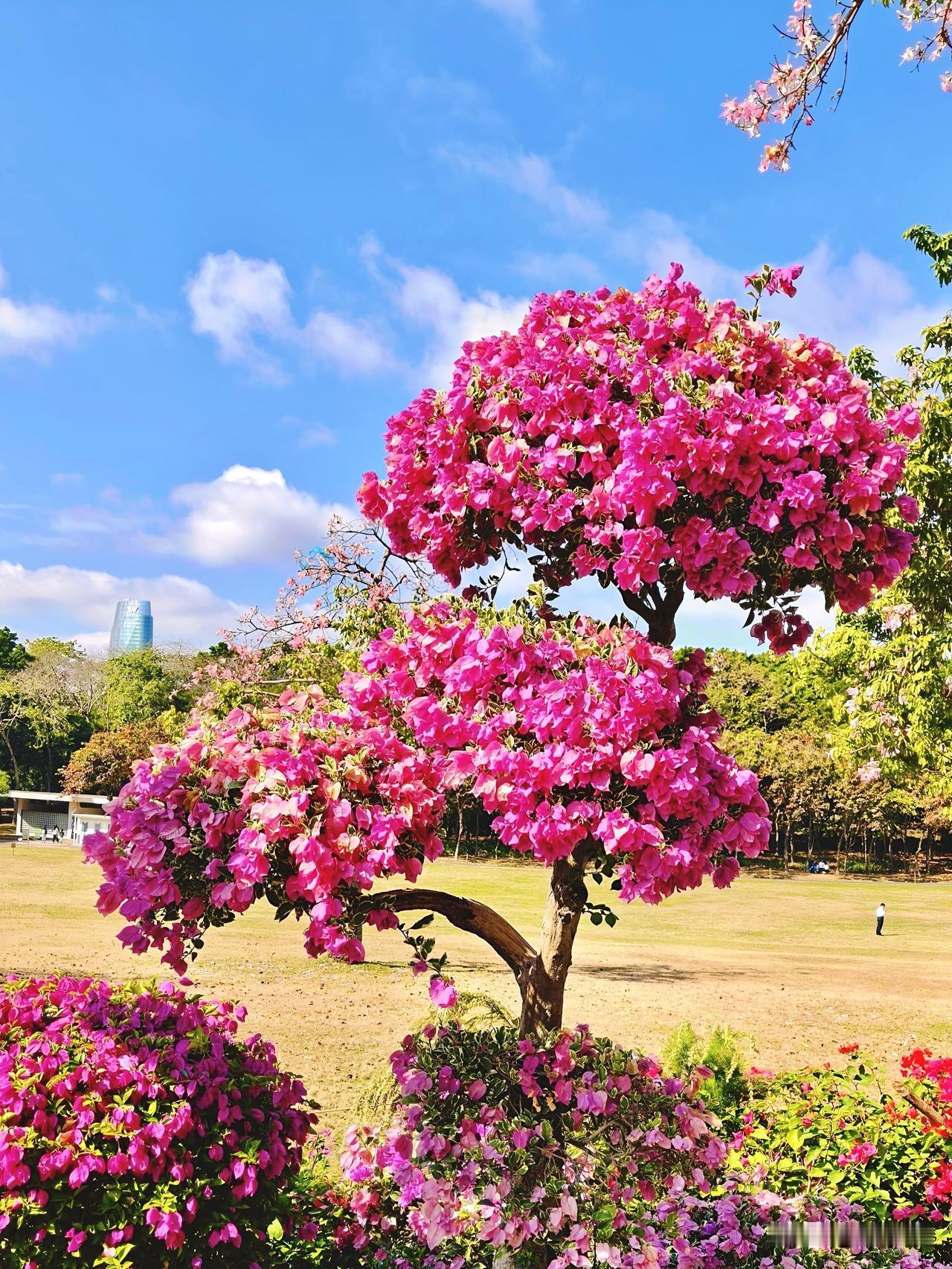 灵魂的相逢，才是世间最圆满的结局。心有灵犀的相通，澄澈如生命里一抹温柔的光；不必