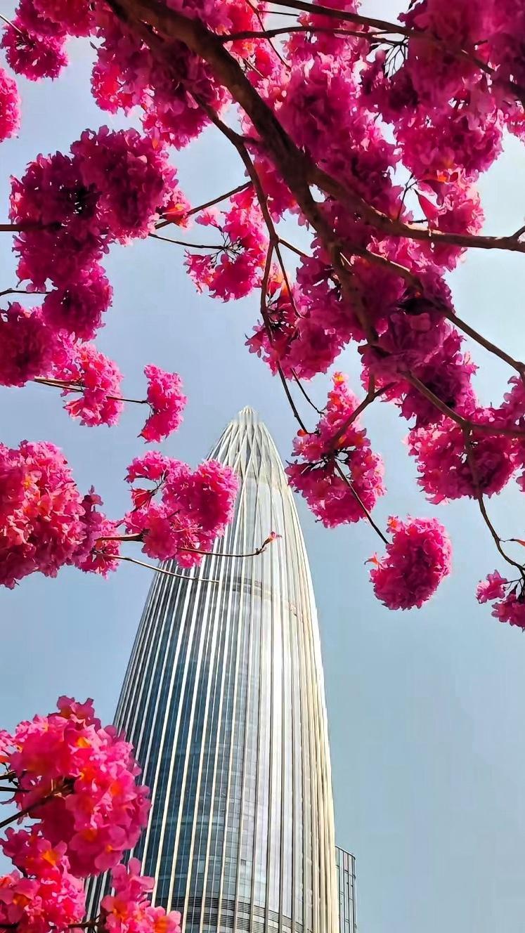 今天我想跟大家说句实在话：
咱们天天把“孝顺父母”挂在嘴边，
可现在这个世道，